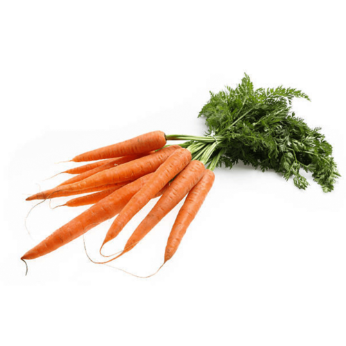 Mini Carrot Top Yellow South Africa