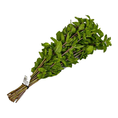 Mint Premium UAE