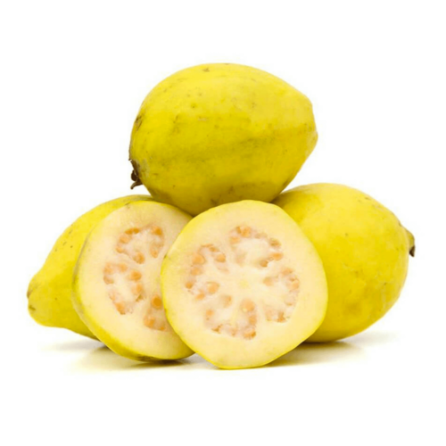 Organic Guava Egypt