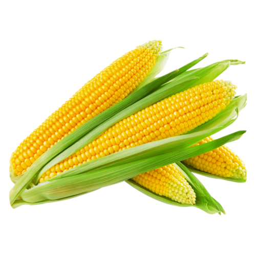 Sweet Corn 1kg