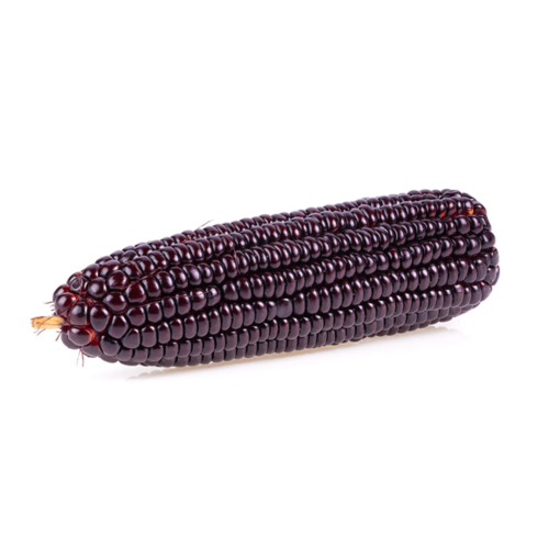 Sweet Corn Black China 350g