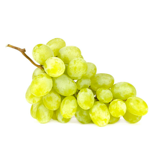 White Seedless Grapes Egypt