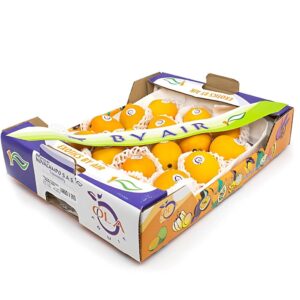 بيبي مانجو كولومبيا