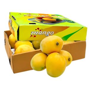 مانجو بادامي الهند