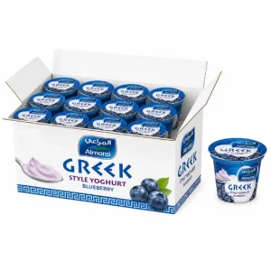 Almarai Blueberry Greek Style Fresh Yoghurt