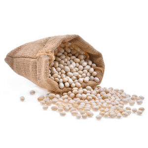 فاصوليا بيضاء كبيرة