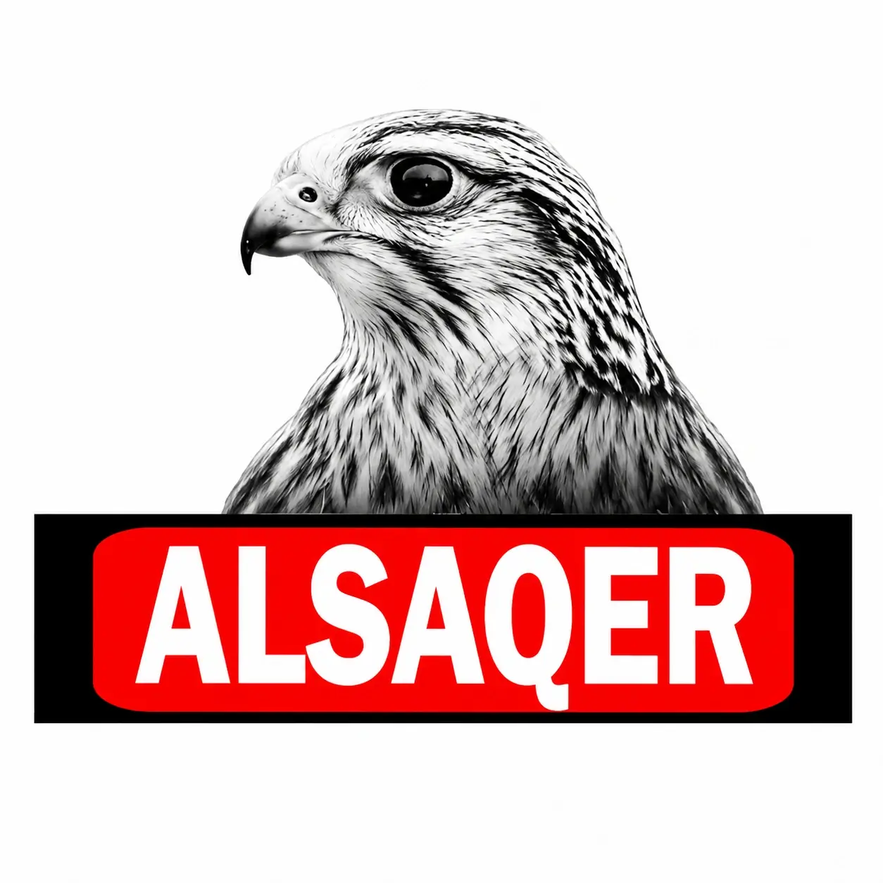 الصقر